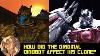 How Did The Original Dinobot Affect His Clone