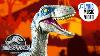 Jurassic World Raptor Rap Official Lyric Video Mattel Action