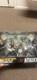Mcfarlane Toys Metallica Harvesters Of Sorrow Suoer Stage Boxed Set Still Sealed