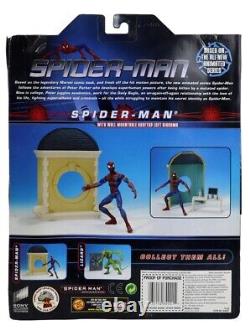 Toy Biz Animated Spider-Man MTV Figure Prototype Figure 2003